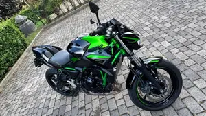 Kawasaki Z 650 Performance (2021 - 24)  (14)