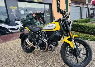Ducati Scrambler 800 Icon (2017 - 20) - Annuncio 9998308