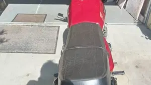Benelli   (2)