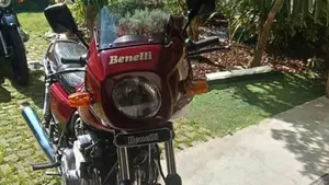 Benelli   (6)
