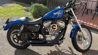 Harley-Davidson 883 (2008 - 09) - XL usata