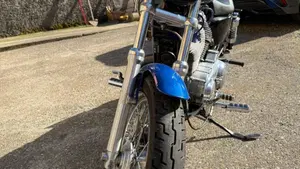 Harley-Davidson 883 (2008 - 09) - XL  (3)