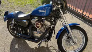 Harley-Davidson 883 (2008 - 09) - XL  (6)
