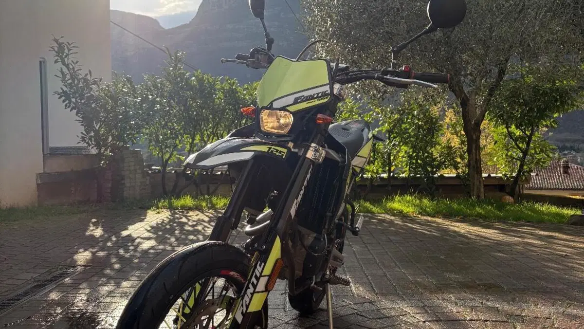 Fantic Motor Motard 125 M Performance 4t (2019)  (3)
