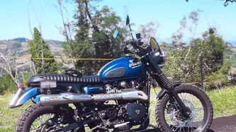 Triumph Scrambler (2006 - 17) usata