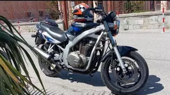 Suzuki GS 500 (2001 - 06) usata