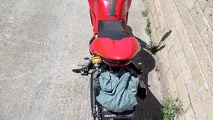 Ducati Monster 797 (2017 - 18)  (7)