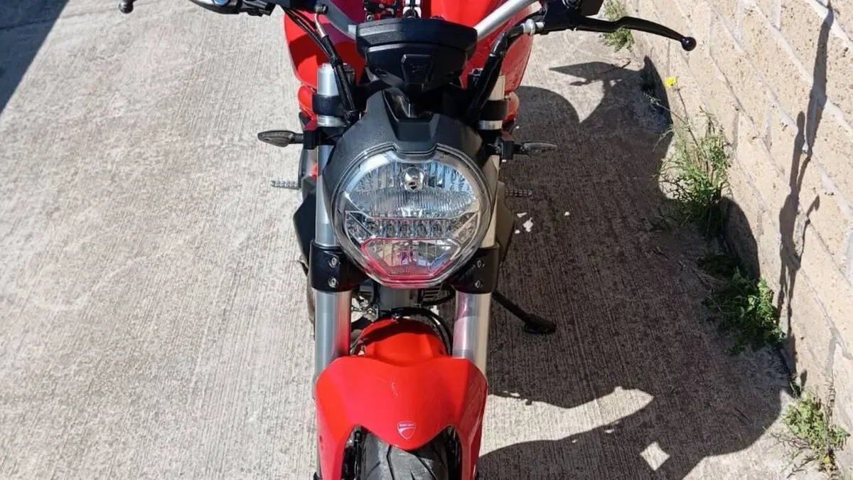 Ducati Monster 797 (2017 - 18)  (6)