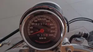 Harley-Davidson   (5)