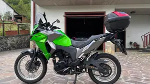 Kawasaki Versys-X 300 (2017 - 20)  (4)