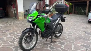 Kawasaki Versys-X 300 (2017 - 20)  (5)