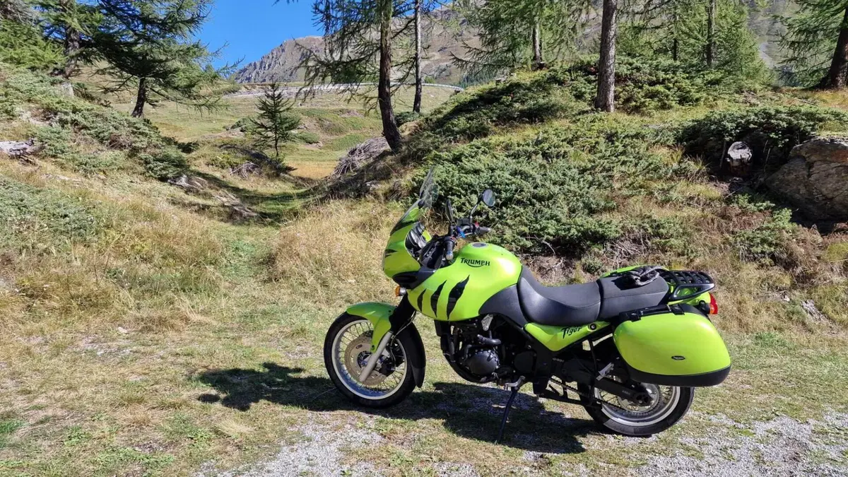 Triumph Tiger 955 (2002 - 06)  (8)