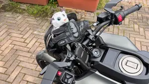 Husqvarna Svartpilen 125 (2024 - 26)  (8)