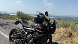 Triumph Trident 660 (2021 - 24)  (3)