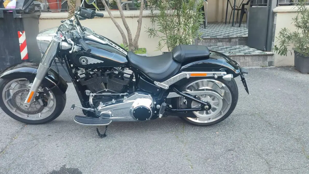 Harley-Davidson Fat Boy 117 (2025 - 26) 