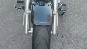 Harley-Davidson Fat Boy 117 (2025 - 26)  (3)
