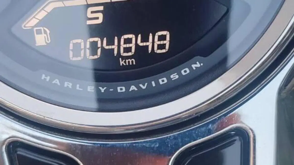 Harley-Davidson Fat Boy 117 (2025 - 26)  (4)