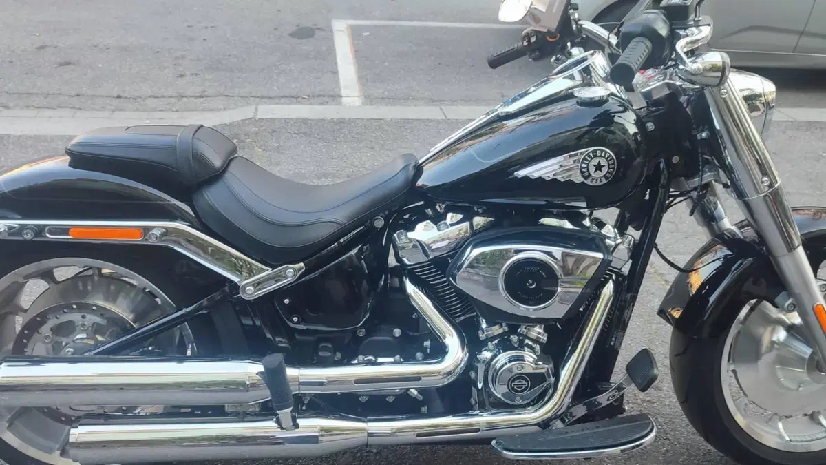 Harley-Davidson Fat Boy 117 (2025 - 26)  (5)