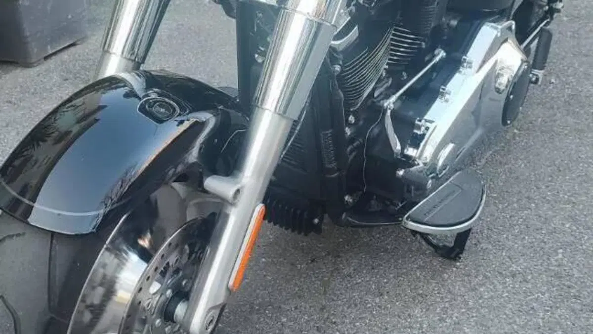 Harley-Davidson Fat Boy 117 (2025 - 26)  (8)