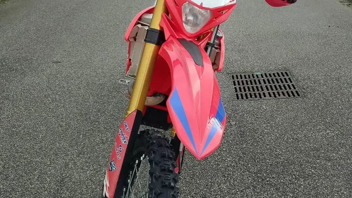 Betamotor RR 390 4T Enduro (2017)  (6)