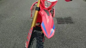 Betamotor RR 390 4T Enduro (2017)  (6)