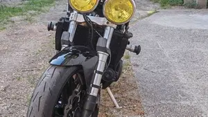 Triumph Speed Triple 955 (2002 - 04) 