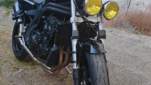 Triumph Speed Triple 955 (2002 - 04)  (2)