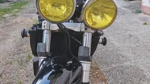 Triumph Speed Triple 955 (2002 - 04)  (8)