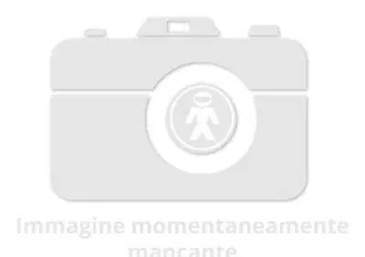 Ricambio Guanciotti Nolan per X-903 taglia XL X-Lite - Annuncio 8896630