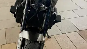 Triumph Trident 660 (2021 - 24)  (2)