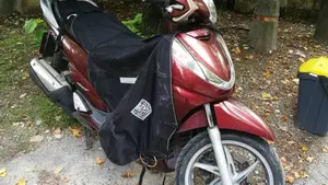 Honda SH 300 i (2006 - 10)  (2)