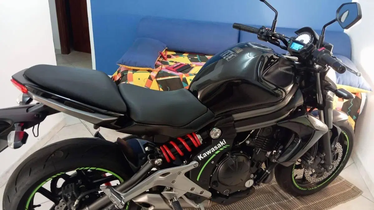 Kawasaki ER-6N (2012 - 13) 