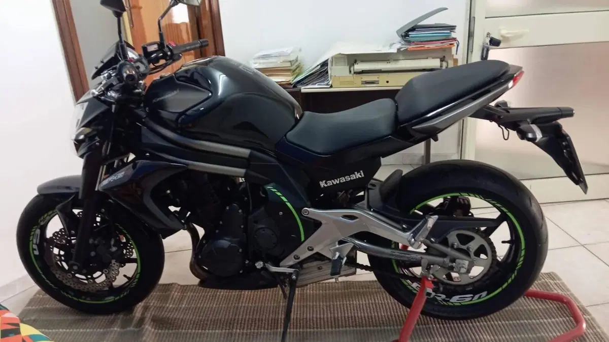 Kawasaki ER-6N (2012 - 13)  (2)