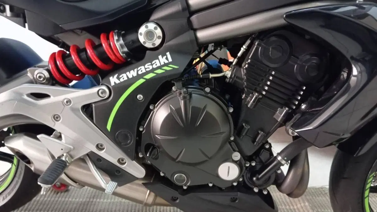 Kawasaki ER-6N (2012 - 13)  (4)