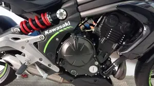 Kawasaki ER-6N (2012 - 13)  (4)