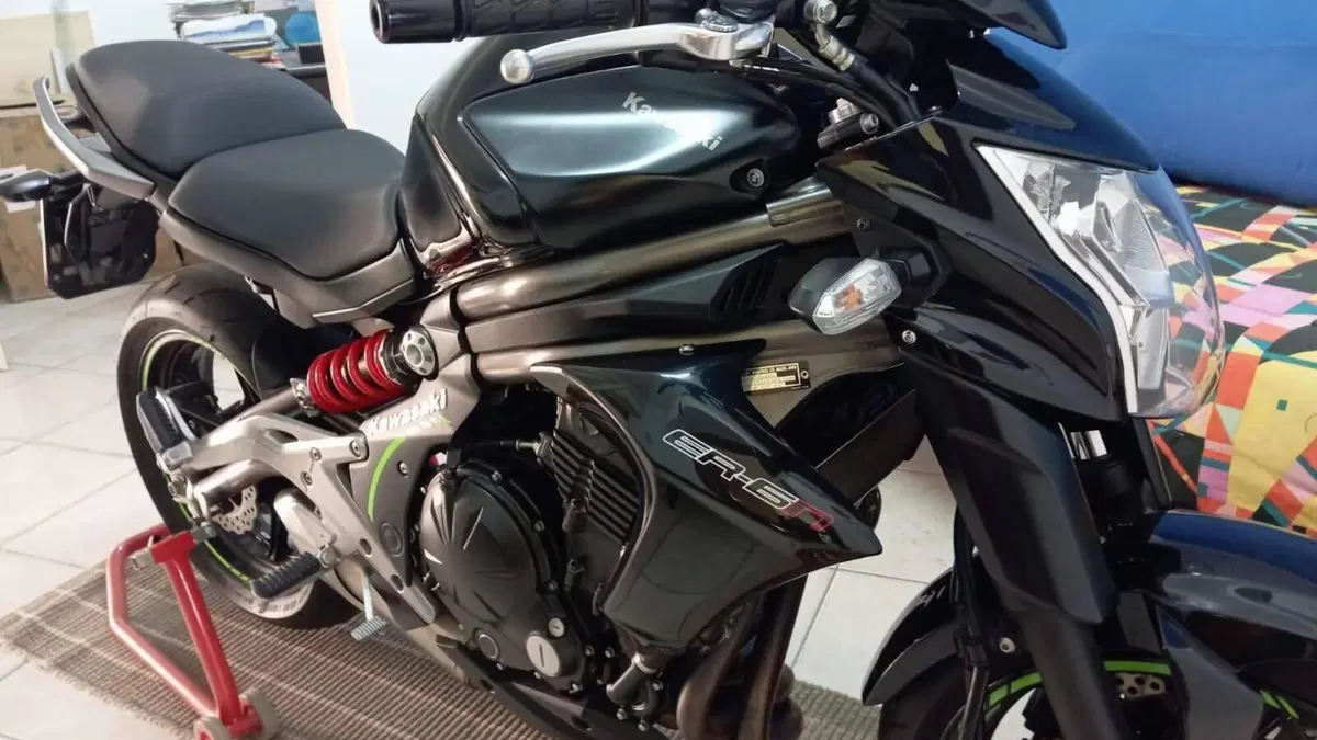 Kawasaki ER-6N (2012 - 13)  (5)