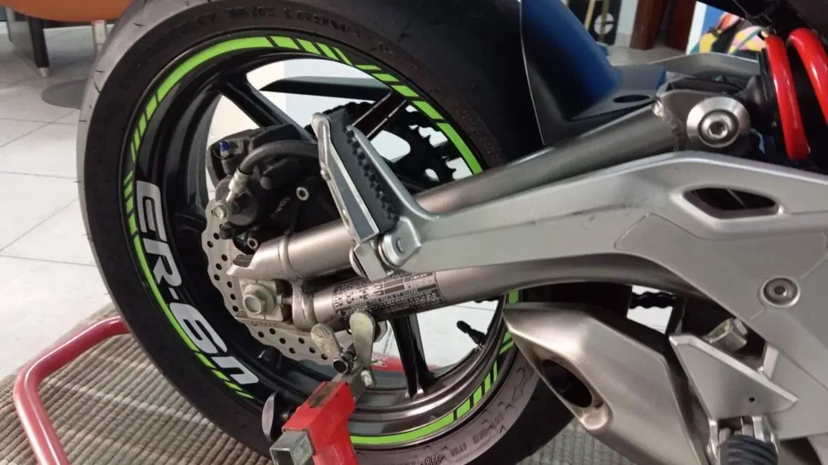 Kawasaki ER-6N (2012 - 13)  (6)