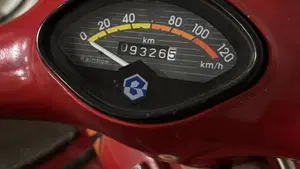 Piaggio   (10)