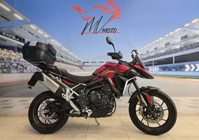 Triumph Tiger 900 GT (2024 - 26) - Annuncio 9999393