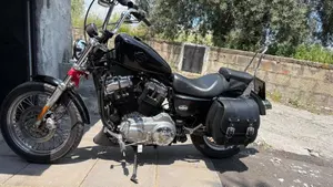 Harley-Davidson 883 (2008 - 09) - XL  (7)