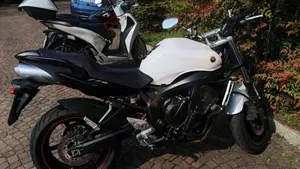 Yamaha FZ6 S2 (2007 - 11)  (3)