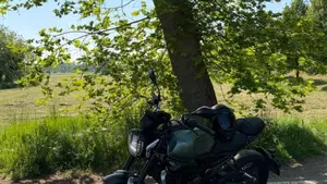Voge Trofeo 300AC (2021 - 26)  (7)