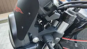 Moto Guzzi V7 Stone Special Edition (2022 - 25)  (3)
