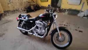 Harley-Davidson 883 (2006 - 07) - XL  (2)