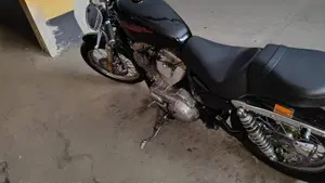 Harley-Davidson 883 (2006 - 07) - XL  (6)