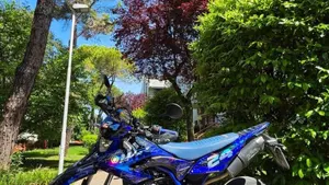 Yamaha WR 125 X (2009 - 16)  (4)