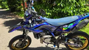 Yamaha WR 125 X (2009 - 16)  (5)
