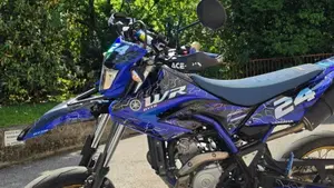 Yamaha WR 125 X (2009 - 16)  (7)