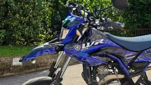 Yamaha WR 125 X (2009 - 16)  (8)