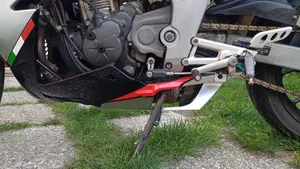 Aprilia RS 125 (2006 - 14)  (7)